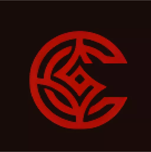 VayCasino Official Logo